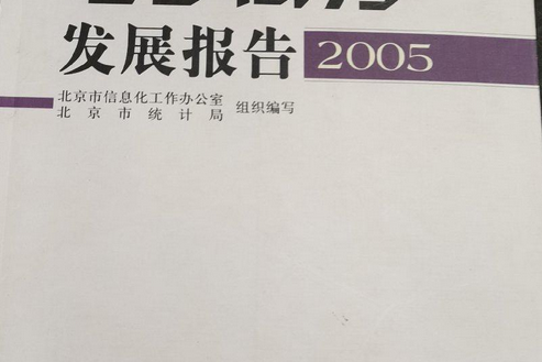 北京市電子商務發展報告2005