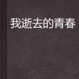 我逝去的青春(網路小說)