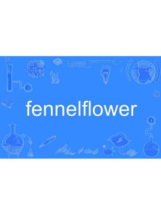fennelflower