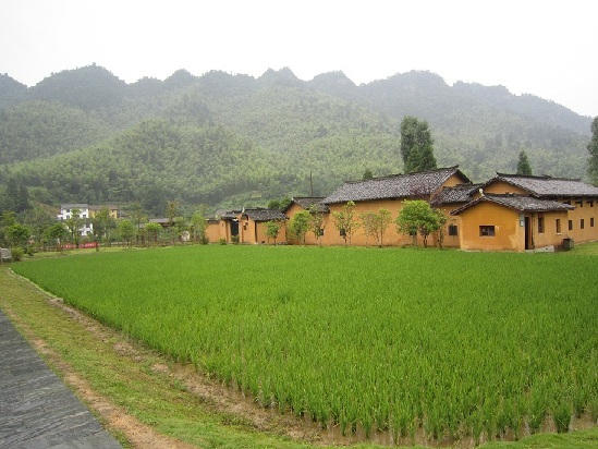 大井村(遼寧省朝陽市朝陽縣西五家子鄉大井村)