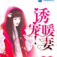 總裁蜜愛小甜妻(紫夢悠著網路小說)