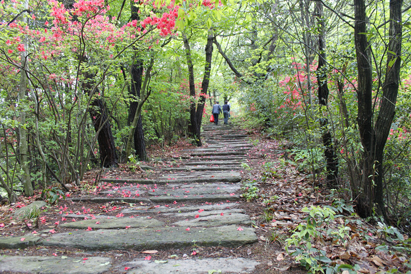 西武嶺古道