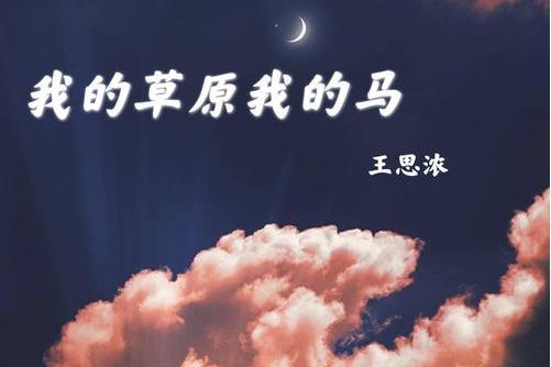 我的草原我的馬