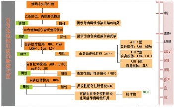 圖3 自身免疫性肝病檢測模式