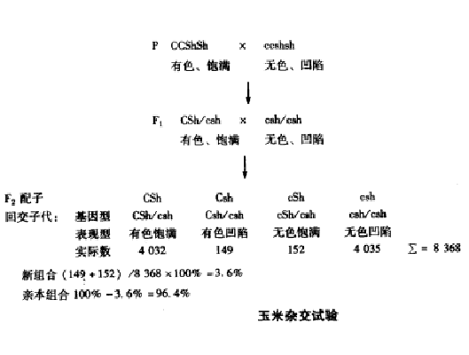 重組頻率