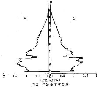 年齡金字塔