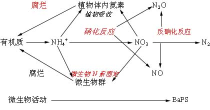 土地生態