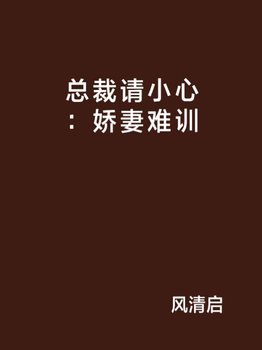 總裁請小心：嬌妻難訓(風清啟創作的網路小說)