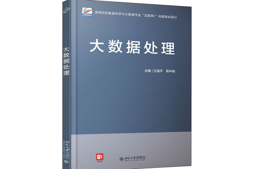 大數據處理(2020年北京大學出版社出版的圖書)