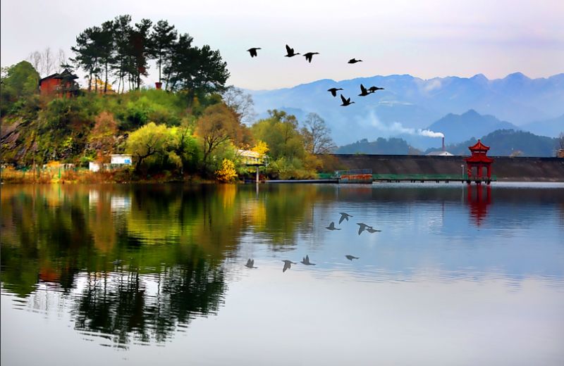 龍湖濕地公園