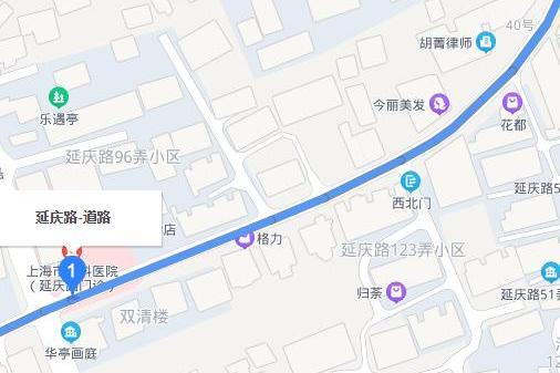 延慶路(中國上海市徐匯區延慶路)