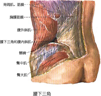 腰下三角