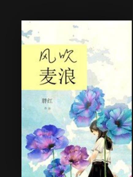 風吹麥浪(胖紅所著小說)