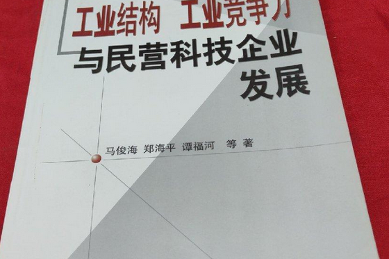 工業結構、工業競爭力與民營科技企業發展