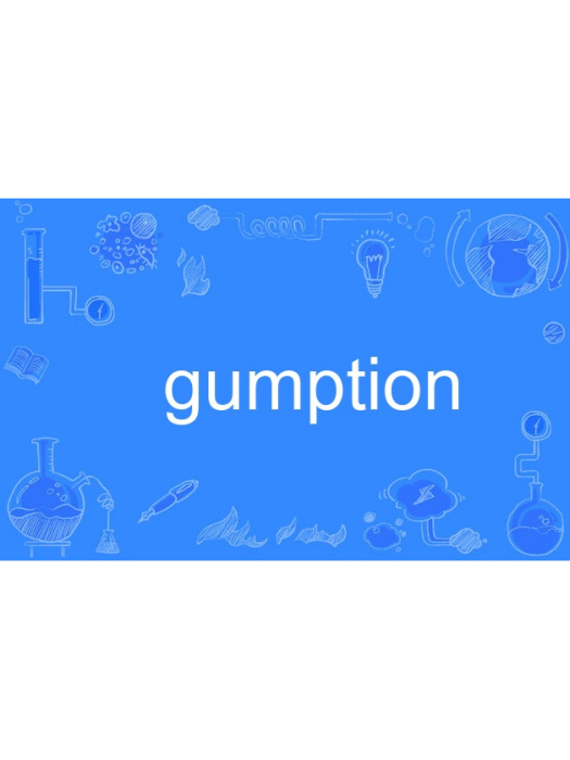 gumption