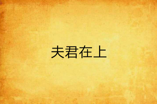 夫君在上(同名小說)