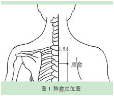 太極五行針療法