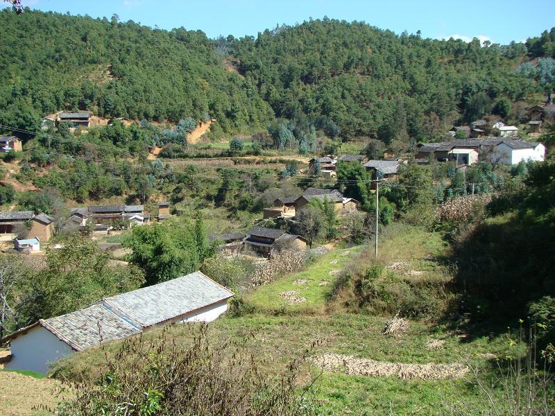 熱水塘村(雲南省普洱市寧洱鎮熱水塘村)