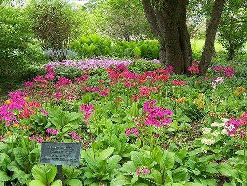 伯克夏爾植物園