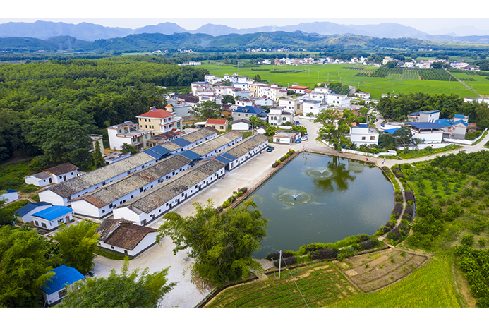 新龍村(廣東省韶關市仁化縣董塘鎮下轄村)