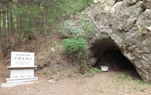 沙鍋屯遺址