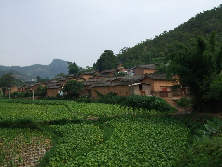 鐵廠村(雲南省玉溪易門縣小街鄉羅尹村民委員下屬村)