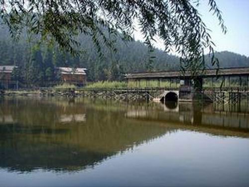 浙江松陽卯山國家森林公園