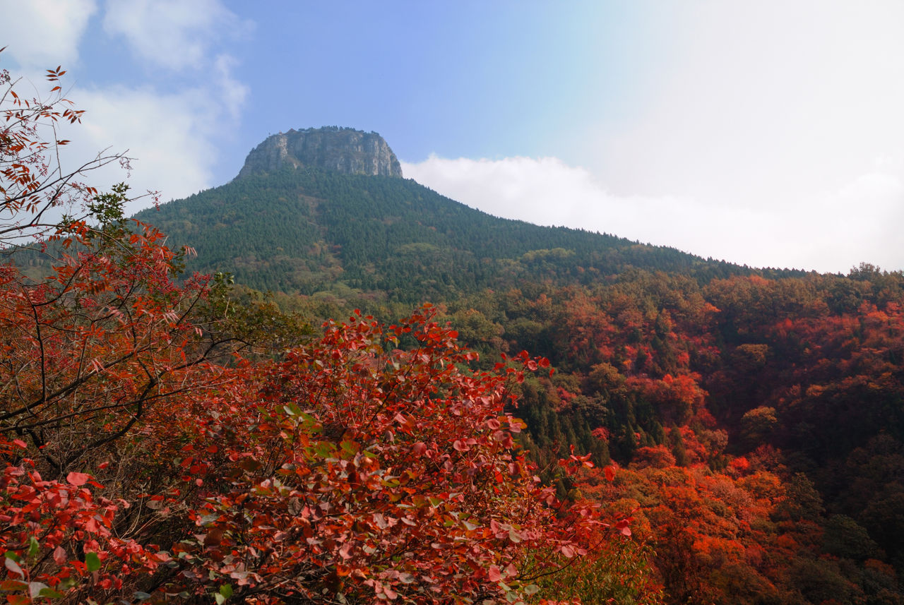 北莊鎮(山東棗莊市山亭區下轄鎮)