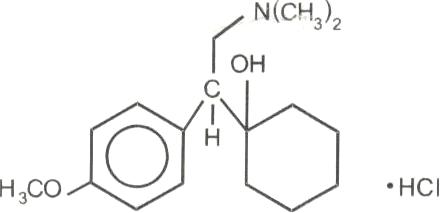 博樂欣