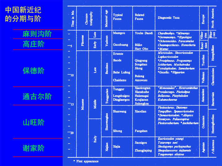 地層命名