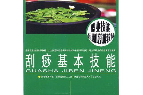 刮痧基本技能(2009年中國勞動社會保障出版社出版的圖書)