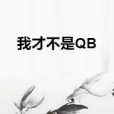 我才不是QB