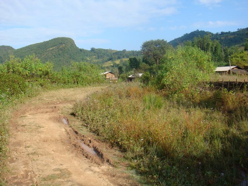 芒回老寨自然村的進村道路