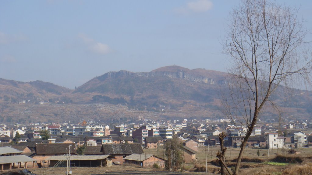 沙江村(廣西橫縣石塘鎮下轄村)