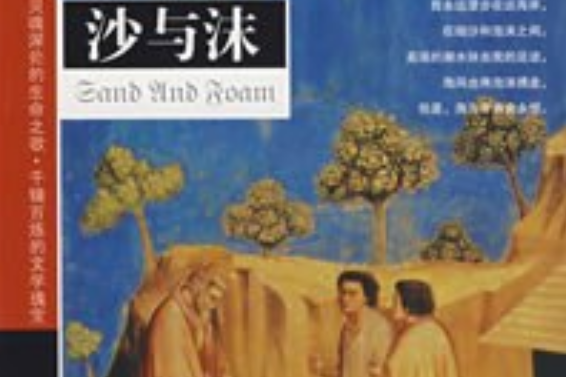 沙與沫(2008年哈爾濱出版社出版的圖書)