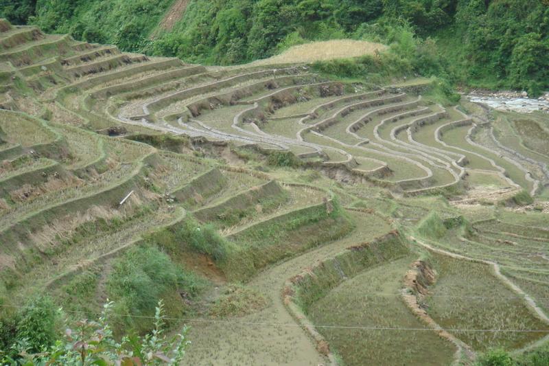 村中田園