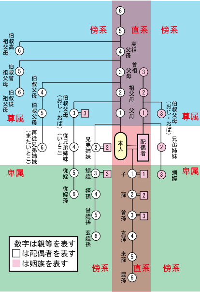 親屬關係圖