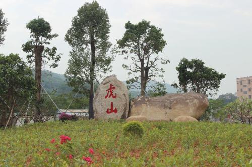 虎山村