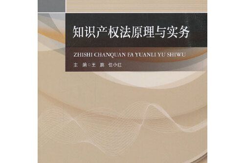 智慧財產權法原理與實務(2019年中國政法大學出版社出版的圖書)