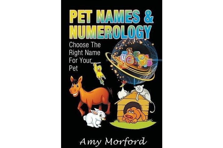 Pet Names and Numerology: Choose the Right Name for Your Pet