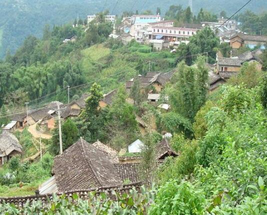 護國村(雲南隴川縣護國鄉下轄村)