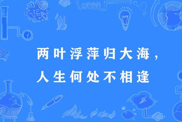 兩葉浮萍歸大海，人生何處不相逢