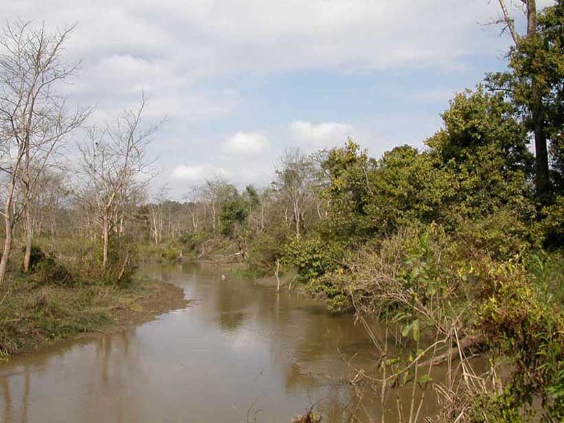 奇旺國家公園