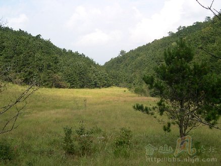 大仰湖高山濕地