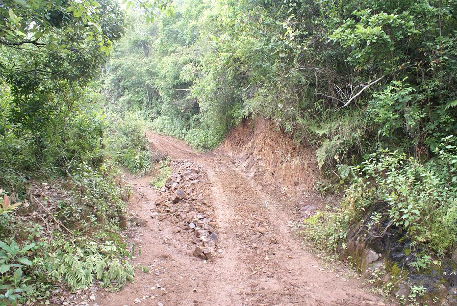 岔路村(雲南省景洪市景訥鄉彎角山村委會岔路村)