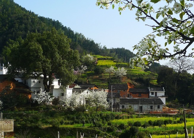 寶山鎮(山東省青島市黃島區寶山鎮)