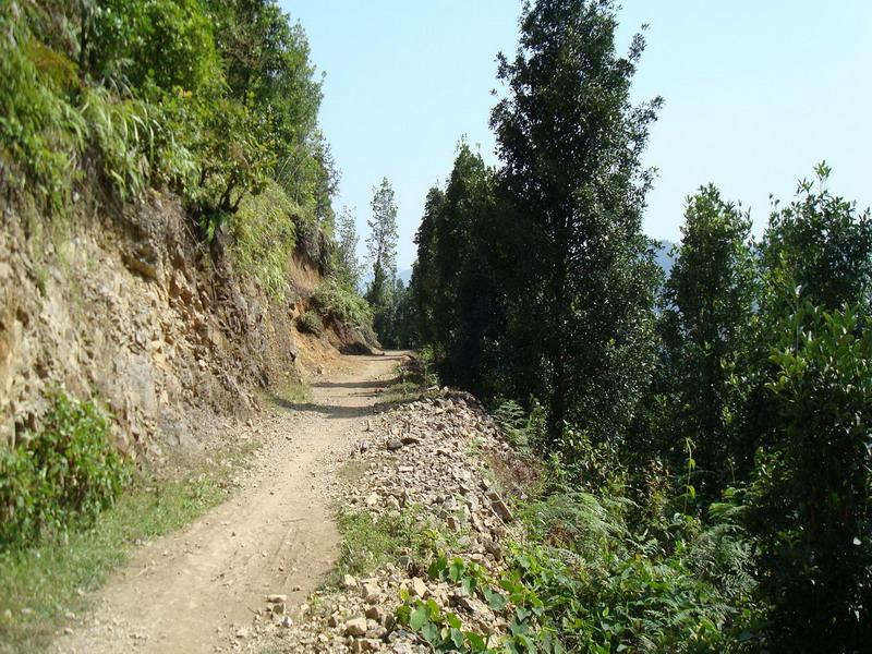 進村道路