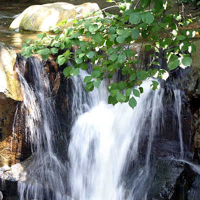 洛陽花果山風光