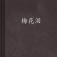 梅花淚(傳統武俠類網路小說)