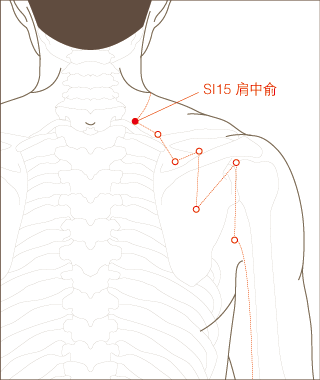 肩中俞穴